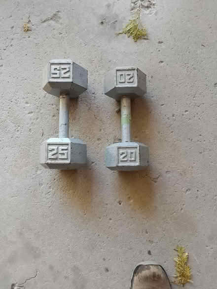 Photo of free More Free Items (South-End Guelph) #3