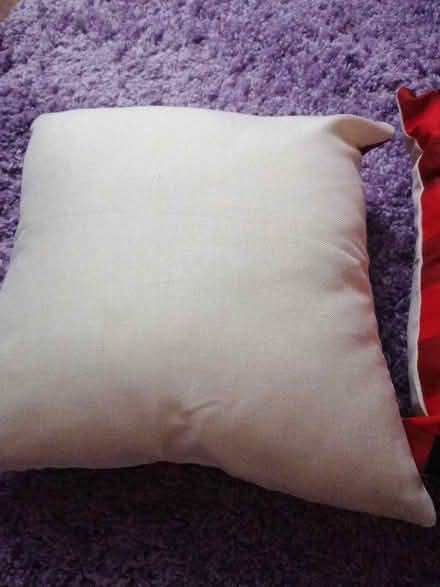 Photo of free 2 x Christmas cushions (Presteigne LD8) #2