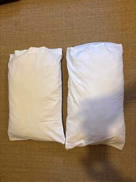 Photo of free 2 John Lewis pillows (GL6 Minchinhampton) #1