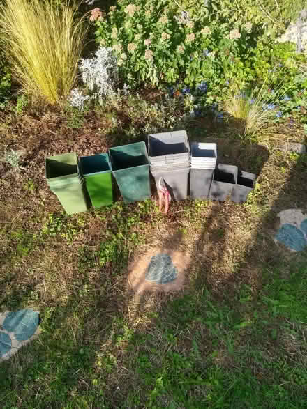 Photo of free 20 tall plant pots-square profile (Thorpe Bay, SS1) #2