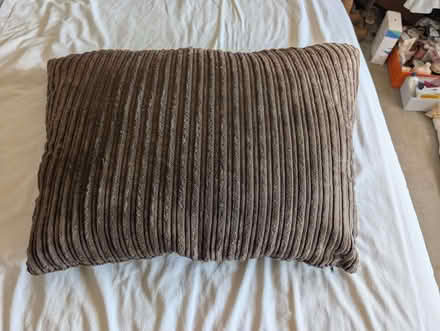 Photo of free Large Cushion (Waterlooville PO8) #1
