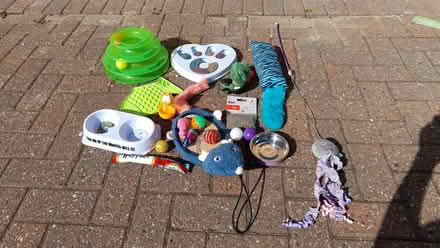 Photo of free Various cat items (Stifford Clays RM16) #1
