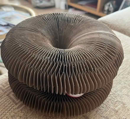 Photo of free Another cardboard cat toy (Whiteway, Bath) #1