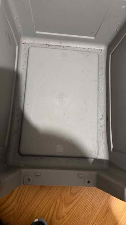 Photo of free Sky Kennel (Deptford SE8) #3