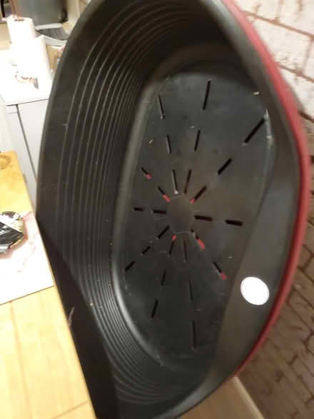 Photo of free 2 xl dog beds (horsham RH12) #1