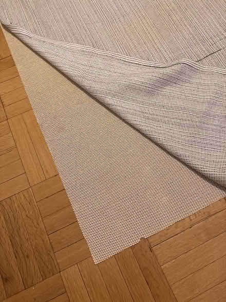 Photo of free thin rug with underpad (10025) #2