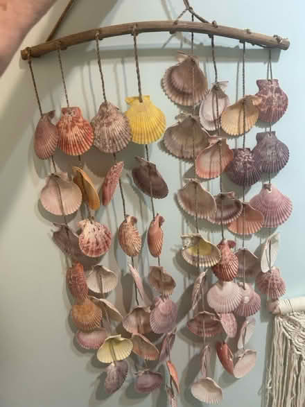 Photo of free Seashell wall hanging (Park Blvd) #3
