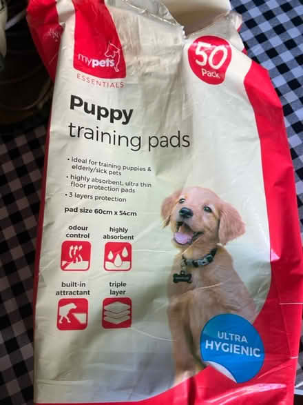 Photo of free Puppy pads (Pollok G53) #1