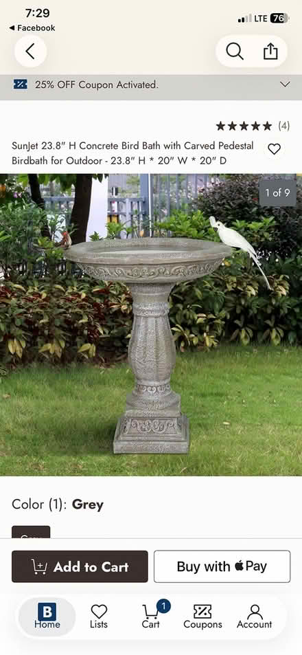 Photo of Bird Bath (Charlottesville) #1