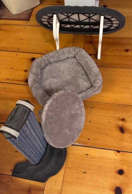 Photo of free Miscellaneous cat items (Groton, near Lawrence Academy) #1