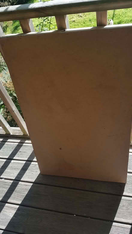 Photo of free Pasting table (Polegate BN26) #2