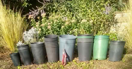 Photo of free 25 tall round plastic plant pots (Thorpe Bay, SS1) #1
