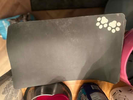 Photo of free Cat feeding mat + bowls (Selsdon) #1