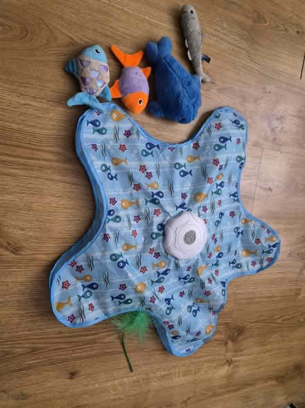 Photo of free Cat accessories (Walthamstow E17) #4