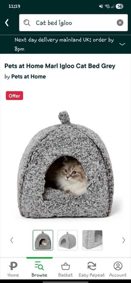 Photo of free Cat bed (Home TW14) #1