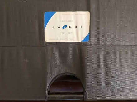 Photo of free LaZBoy Sleeper Sofa (Plaza Midwood) #4