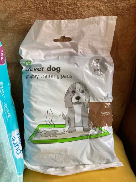 Photo of free Puppy Pads & Baby Bed Mats (Wales S26) #2
