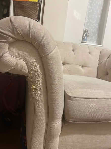 Photo of free Sofa and chair (SM11QN) #4