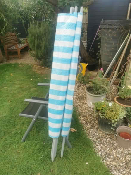 Photo of free Windbreak (Corsham SN13) #1