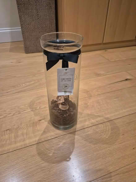 Photo of free Glass vase (Friern Barnet N11) #1