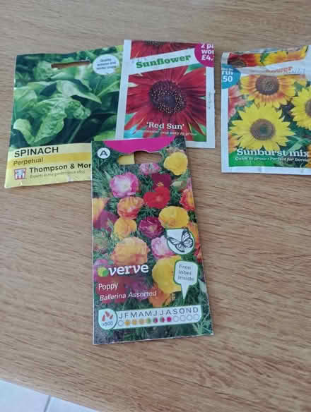 Photo of free Part used packs of seeds (Lower Earley RG6) #1