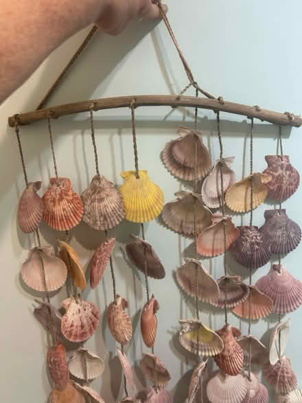 Photo of free Seashell wall hanging (Park Blvd) #2