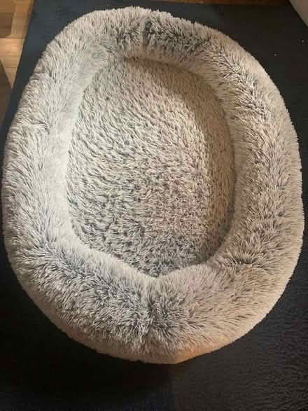 Photo of free Large dog bed (Allestree DE22) #1