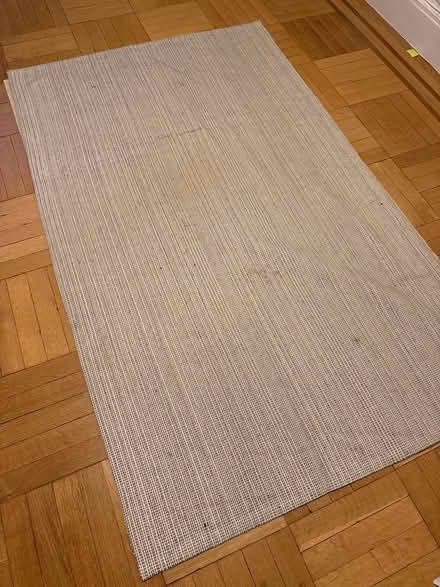 Photo of free thin rug with underpad (10025) #1