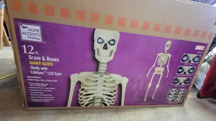 Photo of free 12 Foot Skeleton (Edison) #1