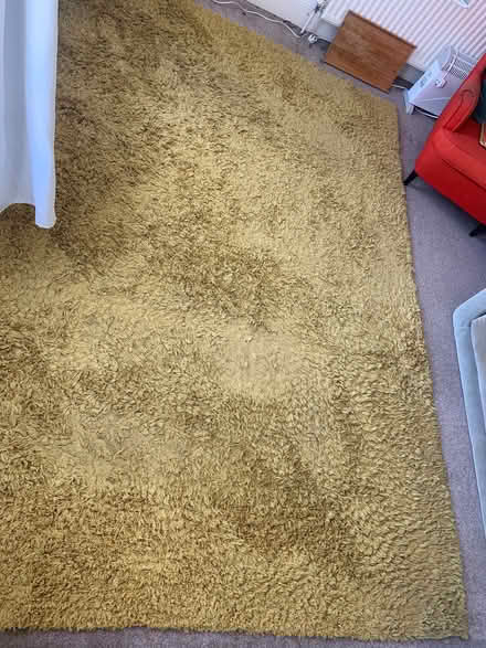 Photo of free Big yellow golden rug (Kemptown BN2) #2