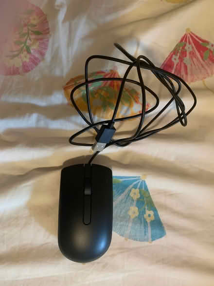 Photo of free Computer mouse (Oakland) #1