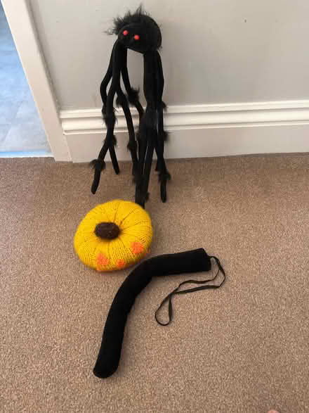 Photo of free Halloween items (St Julians AL1) #1