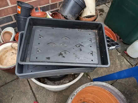 Photo of free Seed trays x6 (Cannon Park CV4) #2