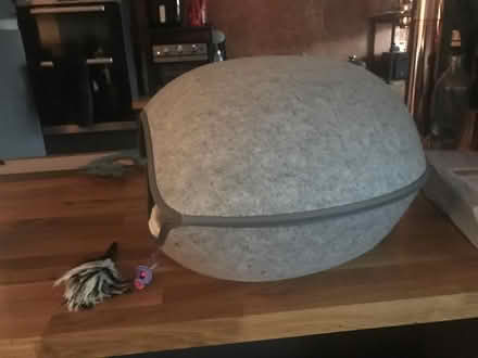 Photo of free Cat pod (Marchwood, SO40) #1