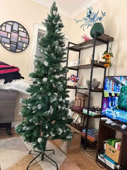 Photo of free Narrow Christmas tree (Borehamwood WD6) #1