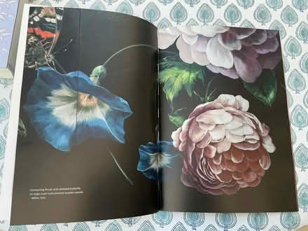 Photo of free Wallpaper design books (Fulham SW6) #4