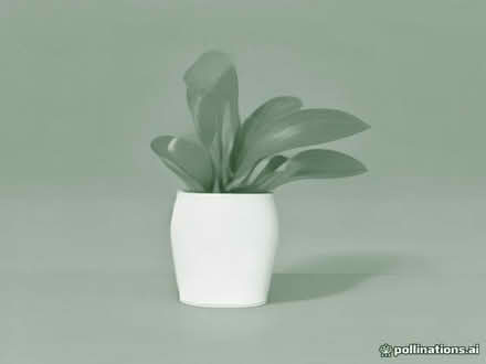 Photo of Large Ceramic or terracotta planters (Morda SY10) #1