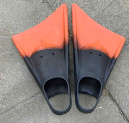 Photo of free Swim Fins (Emsworth PO10) #1