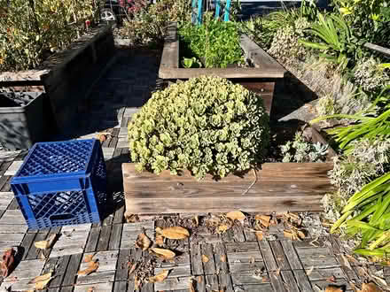 Photo of free 2 succulent planters (Lawrence Expwy & Monroe Street) #1