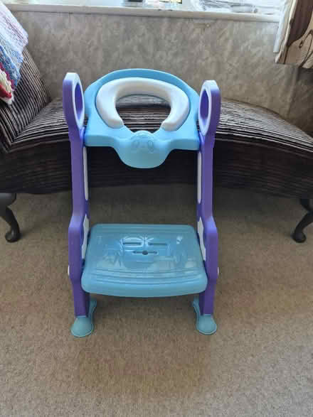 Photo of free Toddler toilet step (East Huntspill TA9) #1