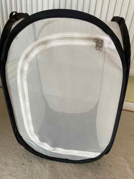 Photo of free Pop up enclosure for insects (Wooburn Green HP10) #1