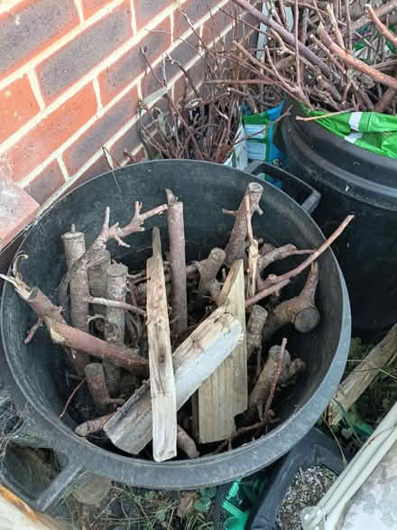Photo of free Seasoned apple tree wood (Greater Leys OX4) #2
