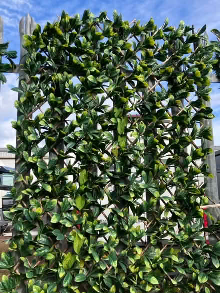 Photo of free Faux plant screen (Paisley PA3) #2