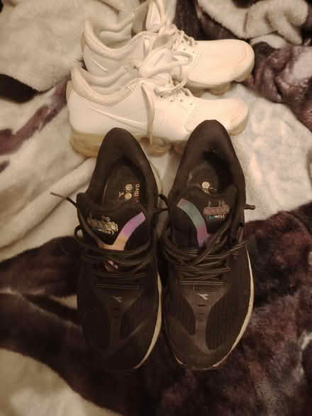 Photo of free Trainers (L17) #1