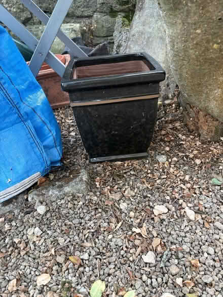Photo of free Garden pots seed trays and seeds (Limpley stoke BA2) #1