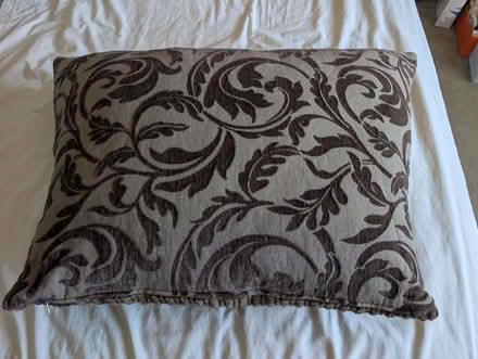 Photo of free Large Cushion (Waterlooville PO8) #2