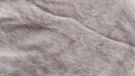 Photo of free Cotton velvet fabric 324cm x 115 cm (Bailbrook BA1) #3