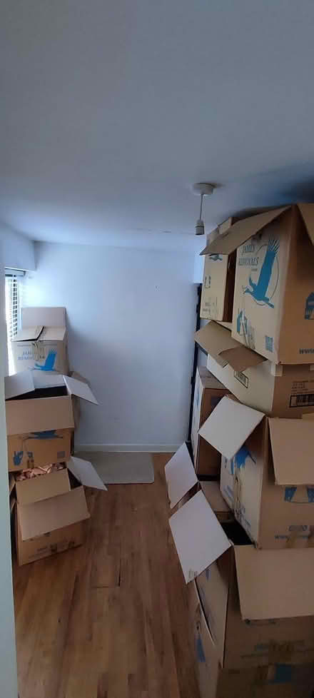 Photo of free Moving Boxes various sizes (Willingdon BN20) #1