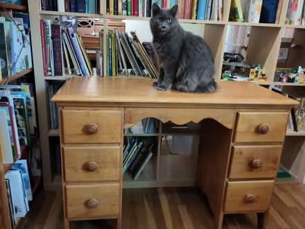 Photo of free Solid Wood desk (Old town Greenbelt) #1