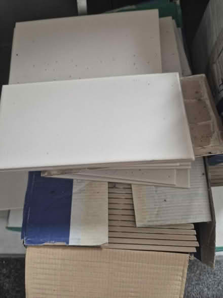 Photo of free Tiles (S13) #1